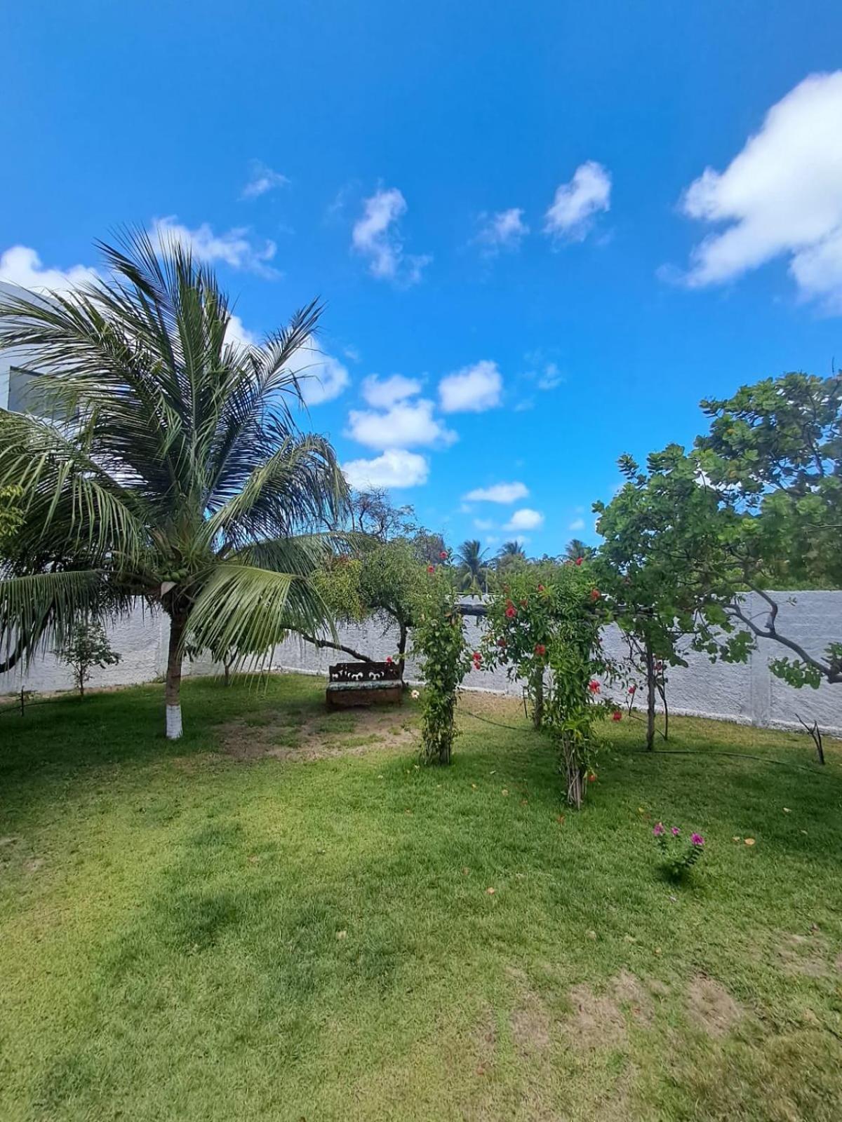 Pousada Intimista Odoya Beach - Suite Quadrupla Conde (Paraiba) Exterior foto